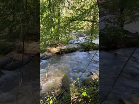 water sounds #asmr #waterflowing #outdoors