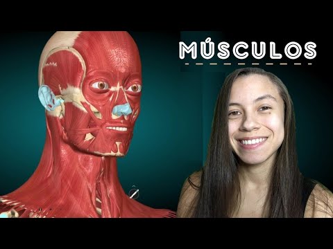 ASMR ANATOMIA - Músculos Da Face + Quiz (Parte 1)
