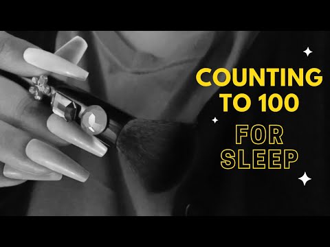 ASMR Lo-Fi Counting to 100 for Sleep / Counting You to Sleep with Camera/Face Brushing