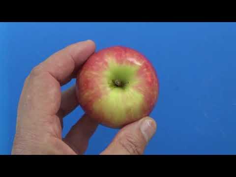 ASMR - Pink Lady Apple - Australian Accent - Discussing in a Quiet Whisper - Plus Cutting & Eating