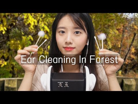 숲속의 솜털 귀청소샵 [노토킹ASMR]3dio,수면유도,새소리,꿀꿀선아,suna asmr,