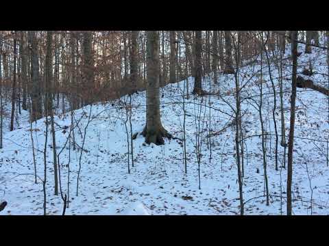 ASMR Inaudible and Unintelligible Whispers in the Snow
