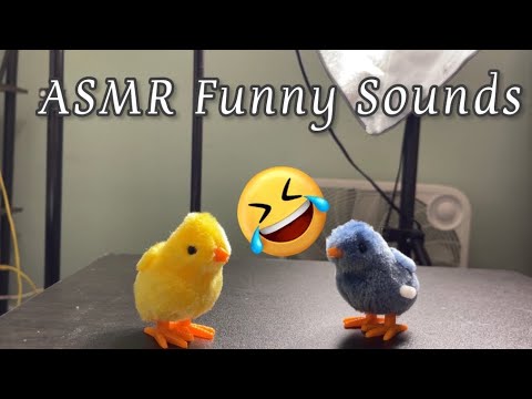 ASMR Funny Sounds: Chicks 🐥 (toys) No Talking.