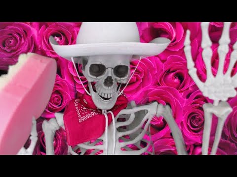 Henry 'Barbie' Bones Shows Off His Pink Collection ASMR