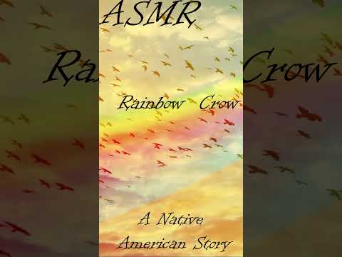 Crow Saves the Day! ASMR Story for Animal Lovers