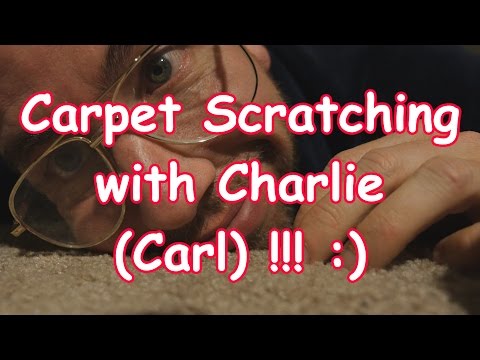 Carpet Scratching with Charlie Carl 1 [ ASMR ]