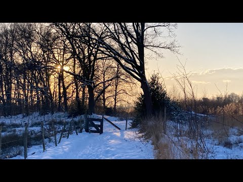 ASMR Relaxing walk in the snow ❄️🤍