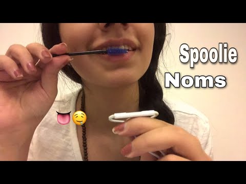 1 Minute ASMR | Spoolie Noms (mouth sounds)