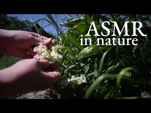 Nature ASMR with a lot of grass and some dirt / outdoors asmr