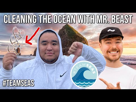 ASMR - Cleaning the Ocean with Mr. Beast 🌊 - #TeamSeas