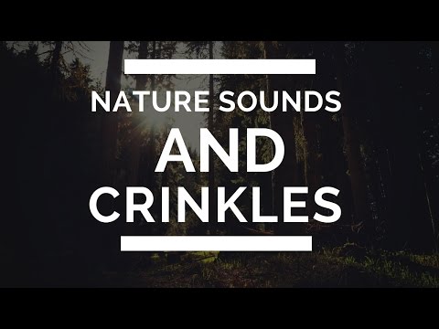 ASMR | Nature Sounds And Crinkles