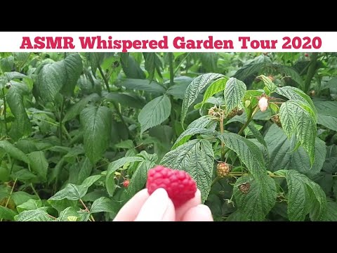 ASMR Updated Garden Tour(Whispered)2020
