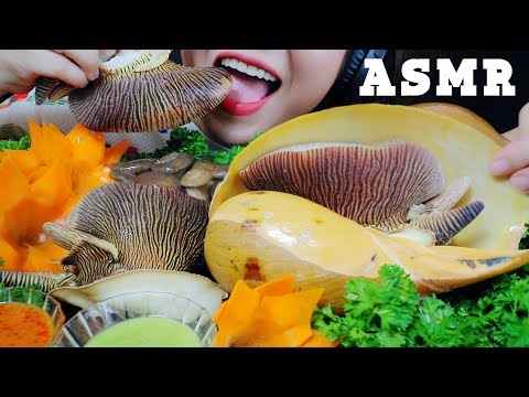 ASMR GIANT KING SNAIL (MELO MELO) WITH OYSTER MUSHROOM EATING SOUNDS | LINH-ASMR