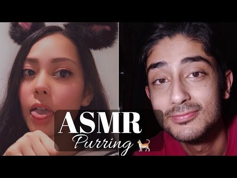 ASMR 🐱 Purring Like A Cat [Collab with SoftSpokenShank]