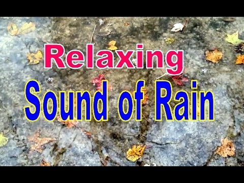 Sound of Rain on an Umbrella - Relaxation