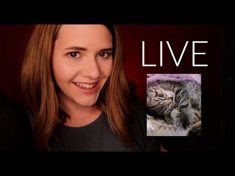 ASMR mit meiner BABYKATZE  ❤️ ASMR LIVE mit Annawhispers