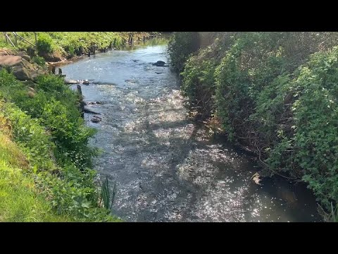 ASMR nature, water, relaxation