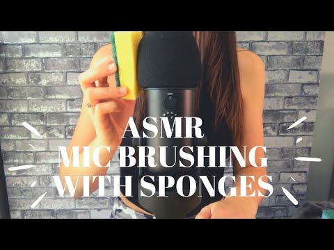 ASMR Brushing & Scratching on the Microphone with Sponges (No Talking)