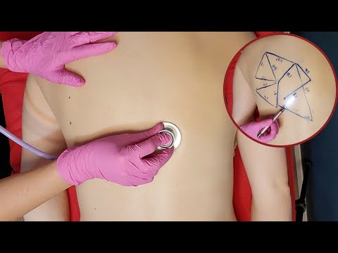 ASMR Back & Skin Inspection: Measuring Mapping Drawing | Best ASMR Medical | Real Person No Talking