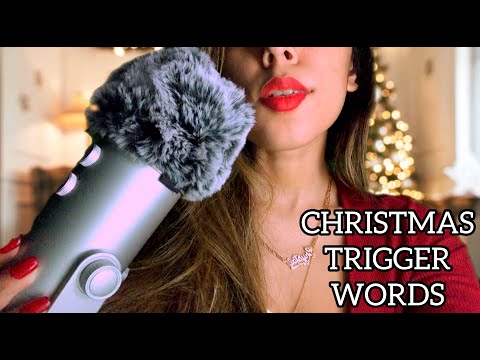 ASMR 🎄CHRISTMAS TRIGGER WORDS 🎅🏻 (PERSONAL ATTENTION)