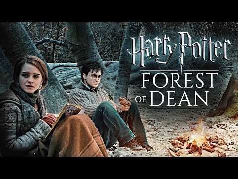 Forest of Dean ◈ Camping with Harry & Hermione ◈ Harry Potter Ambience + Dialogue / Soft Music