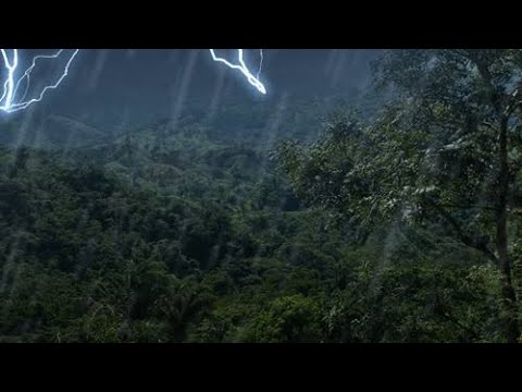 ASMR| GO TO SLEEP with RELAXING RAIN and THUNDER SOUNDS for Calm Sleep 😴