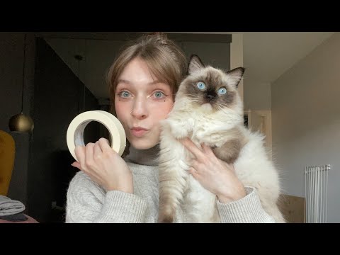 duct tape ASMR but my cat joined me 🐱 (sticky tapping, scratching, peeling off, lo-fi)