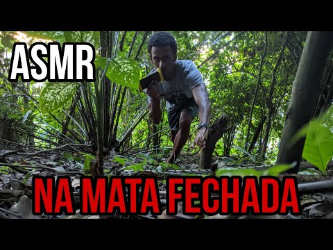 ASMR NA MATA FECHADA (asmr in the thick forest)