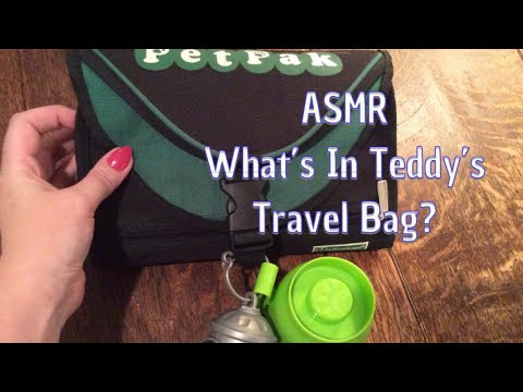 ASMR What’s In Teddy’s Travel Bag