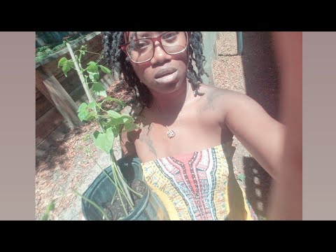 ASMR Whispers in my Garden 🌱 *ear to ear/soft spoken* NATURE SOUNDS