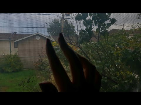 ASMR | tapping on a window | window sounds