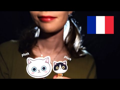 Russian Plucking Your Negative Energy, in French [ASMR] (Plucking, mouth sounds, gentle whispers)