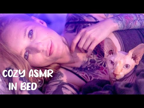 ASMR Fall Asleep Next To Me 😻(face touching, brushing, up close personal attention, purring)