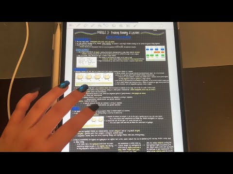 ASMR First Week Of Zoom Uni iPad Notes (GoodNotes 5) *tapping*