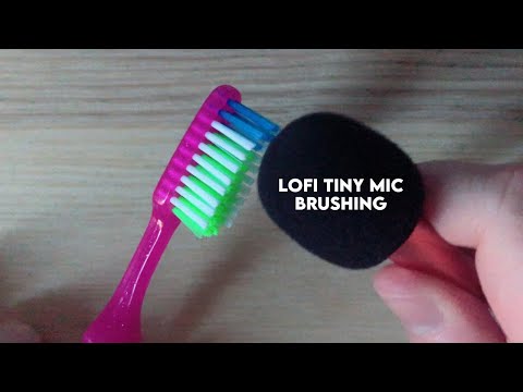 ASMR LoFi Fast and Aggressive Tiny Mic Brushing | NO TALKING