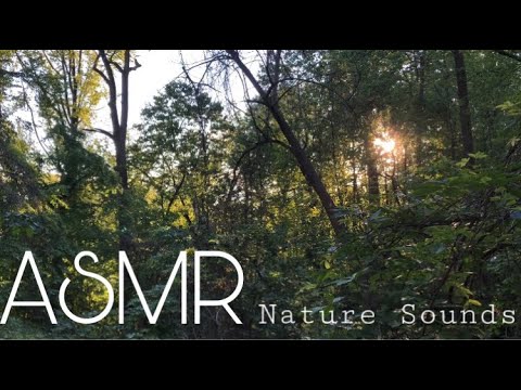 ASMR Nature Sounds 🍃