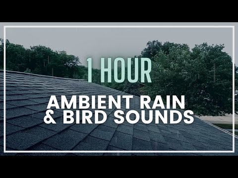 ASMR // 1 hour ambient rain sounds