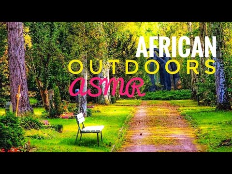 ASMR FOR BEST SLEEP EVER ~ African Outdoors Nature Sounds 🤌🏿✨