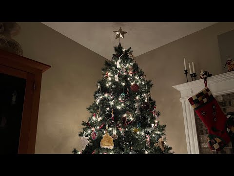 ASMR Christmas Tree Tour Up-Close 🎄
