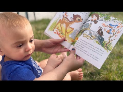 ASMR Reading Page Turning a book soft spoken (Children Book)