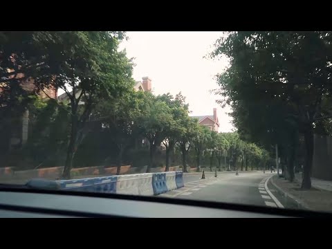 [White Noise] A Little Drive at Dusk