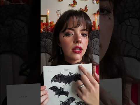 ASMRtist doesn’t know what a bat is