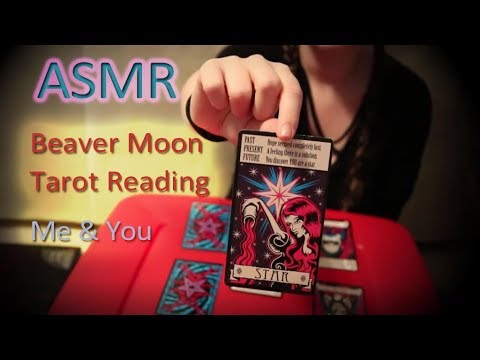 ASMR - Beaver Moon Tarot Reading - Mine & Yours