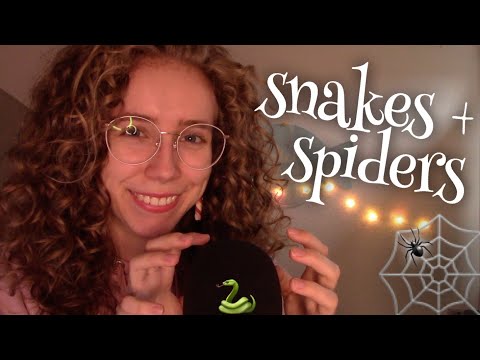[ASMR] Spiders crawling up your back, snakes slithering down 🕸🎃 (children's rhyme)