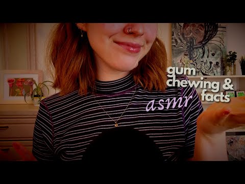 ASMR ◦ 45 Minutes of Whispering Useless Facts While Chewing Gum (Facts/ History of Chewing Gum)