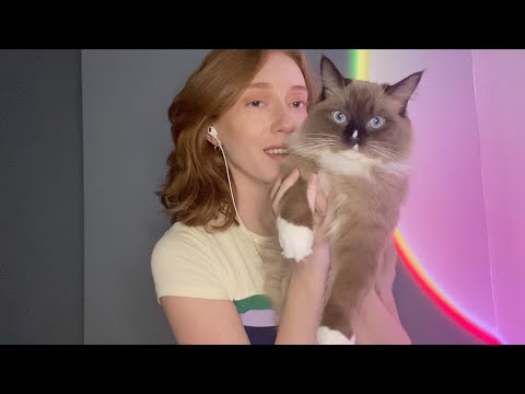 A Little Ramble/Update (ft. my cat Cleo) | Soft Spoken ASMR