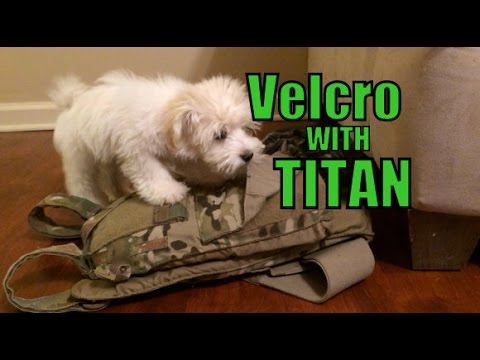 ASMR Velcro Vest with Titan