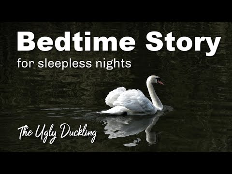 Calm Bedtime Story for Grown Ups (The Ugly Duckling) w Comforting  Female Voice for Sleep (no music)