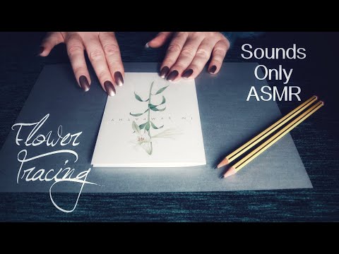 Tracing a Flower 🌼 ASMR 🌼 No Talking, Crinkles and Pencils