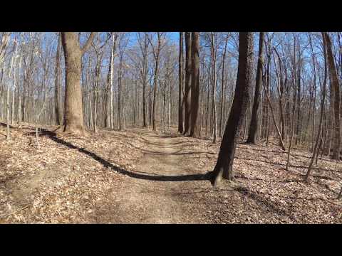 ASMR Hiking [Binaural] Beautiful Winter Day Hike with Peaceful Walking Sounds (Part 1)
